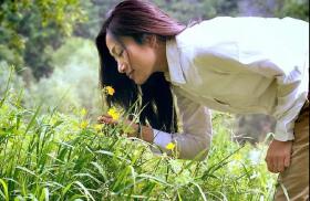 花园美宅，芬芳盛开！蒙眼闻香，鲜花免费送！