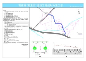 西苑路（暂定名）道路工程规划方案公示