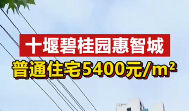 十堰·惠智城普通住宅5400元/㎡