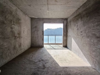 泰山·绿谷，3室2厅2卫，118㎡，毛坯，售价55万