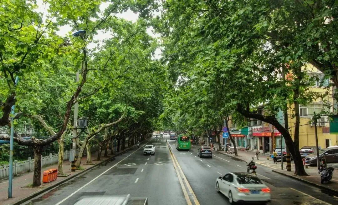 车城西路.jpg
