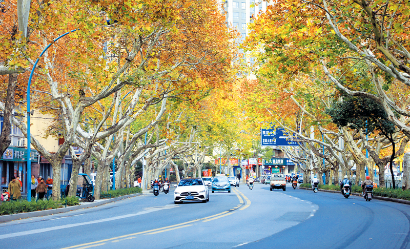 车城西路111.png